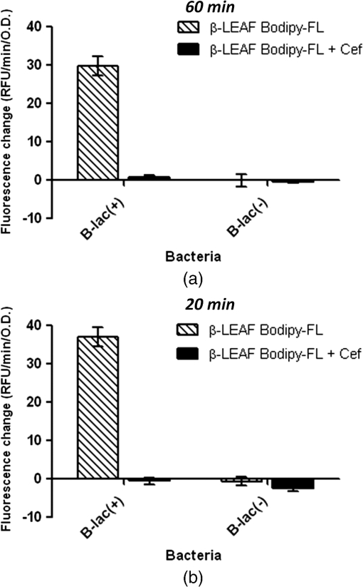 JBO_19_10_105007_f010.png