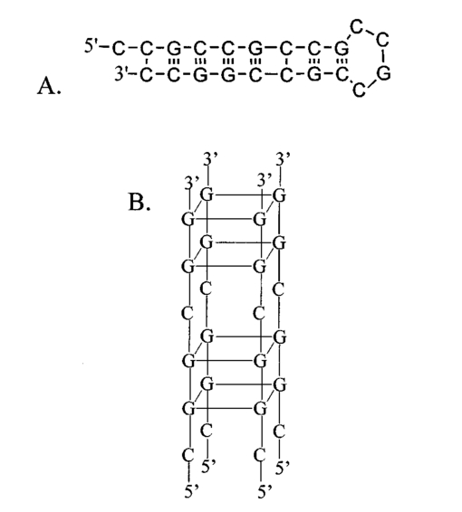 001102j.1.jpg