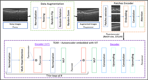 JMI_11_3_034008_f001.png